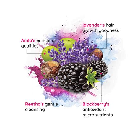 Nyle Naturals Volume Enhance Shampoo | 30 Minutes 24/7 Delivery