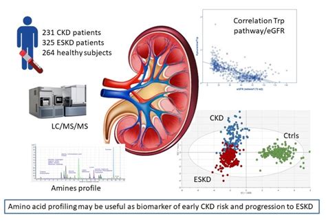 Prognostic Significance of Amino Acid and Biogenic Amines Profiling in ...