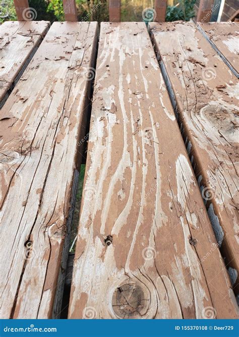 Paint Stain Peeling Up on Wood Deck Stock Photo - Image of handyman, homerepair: 155370108