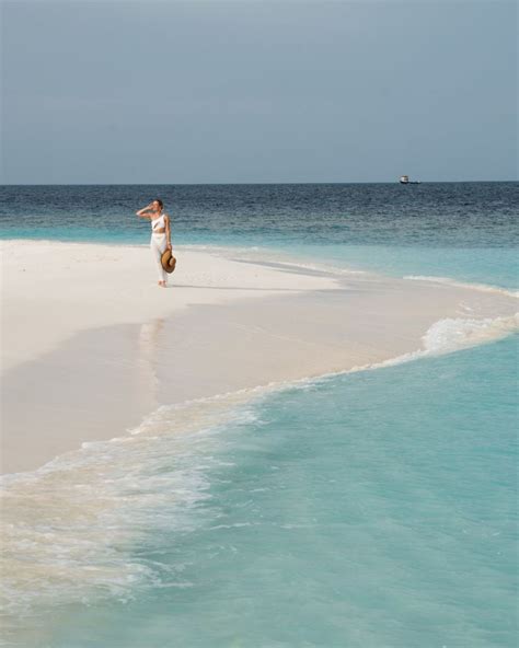 #traveltrademaldives #maldives #visitmaldives #explore #bestofmaldives #mustvisit # ...