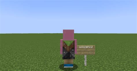 How Do You Get Capes in Minecraft Java 的图像结果