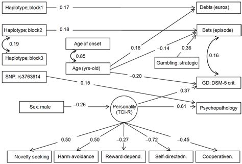Nutrients | Free Full-Text | Underlying Mechanisms Involved in Gambling Disorder Severity: A ...