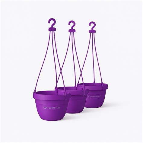 Buy hanging basket online from plantsguru - 50% Off!