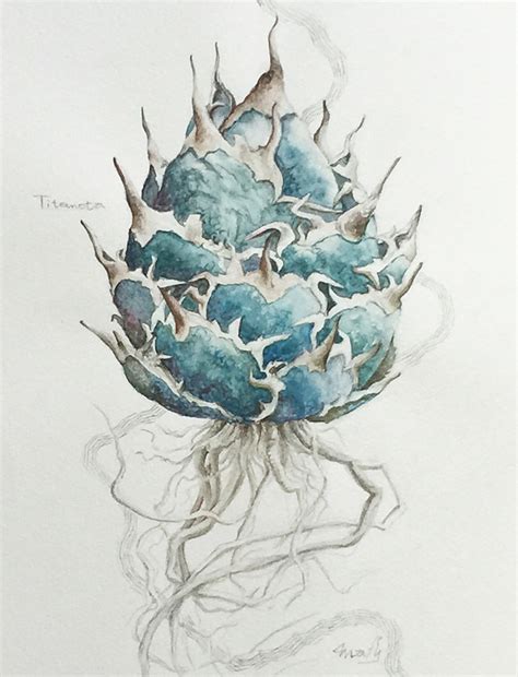 アガベチタノタ⑦ 植物画（原画・額入り） Agave titanota | 「mayco's succulent art box