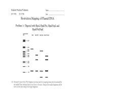 Image result for Plasmid Mapping Practice Problems