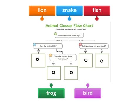 Image result for Identification key Tutorial