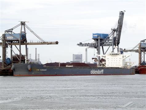 GLOBAL BRIGHT, Bulk Carrier - Details and current position - IMO ...