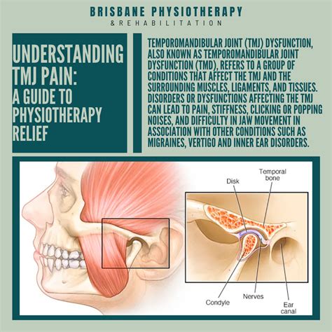 Understanding TMJ Pain: A Guide to Physiotherapy Relief - Brisbane Physiotherapy & Podiatry
