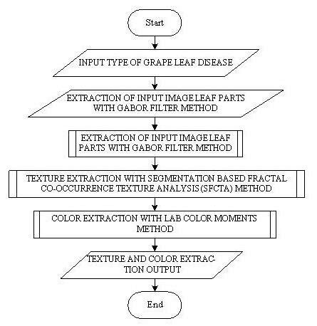 Training Process Flowchart 的图像结果
