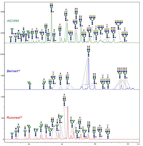 Physicochemical and Biological Characterization of rhC1INH Expressed in ...