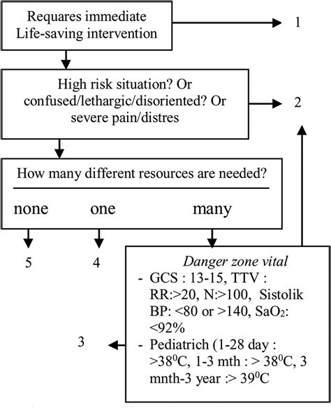 Different triage categorization using Emergency Severity Index (ESI ...