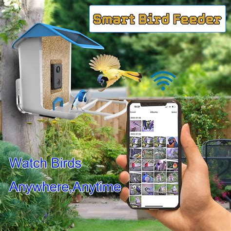 Buy Smart Bird Feeder Camera,Intelligent Bird Feeder Camera, AI ...