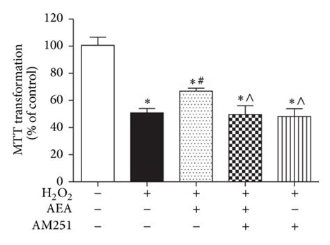 H2O2 HT22 的图像结果