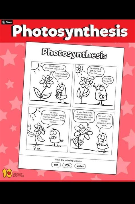 Describe the process of photosynthesis as a recipe to prepare glucose ...