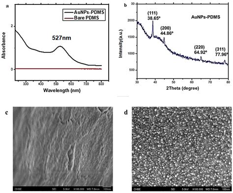 Aptamer-Based Gold Nanoparticles–PDMS Composite Stamps as a Platform ...