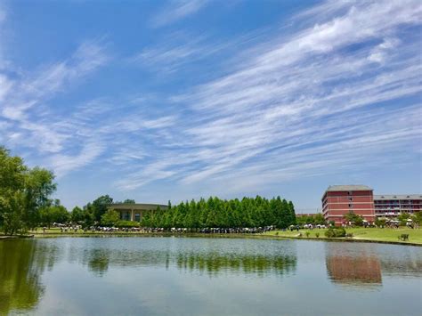 安徽外国语学院 ︱Anhui International Studies university
