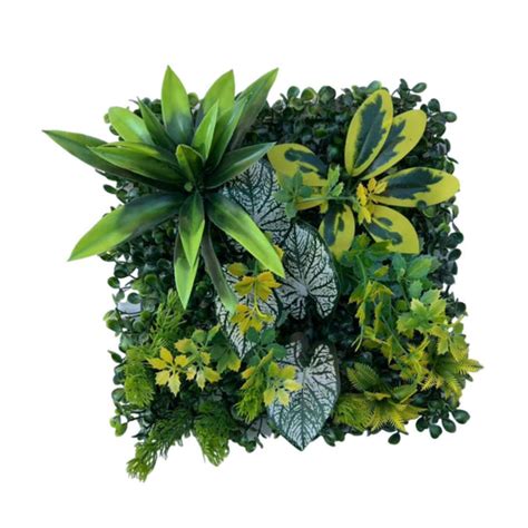 ⚡️Buy Maxbell Grass Wall Panel Privacy Hedge Screen for Patios Backyard ...