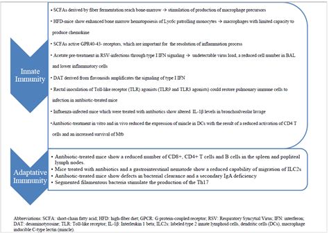 The Relationship between Gut Microbiota and Respiratory Tract ...