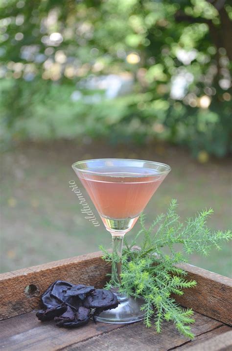 8 Top Benefits & Uses Of Kokum For Skin, Hair & Health - Wildturmeric