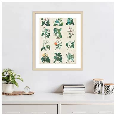 Botanical Schema II by Vision Studio Wood Framed Wall Art Print