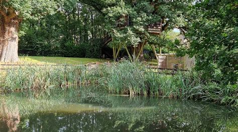 FOX AND HOUNDS COUNTRY HOTEL (Chulmleigh) - Hotel Reviews, Photos, Rate ...