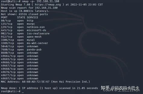 NetBox and Nmap 的图像结果