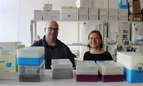 Scientists discover that inhibiting small molecules accelerates wound healing in diabetes | CNC UC