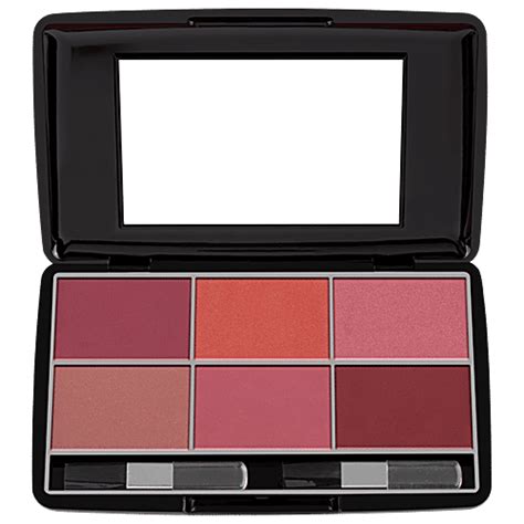 Buy Miss Claire Blusher Kit Online at Best Price of Rs 595 - bigbasket