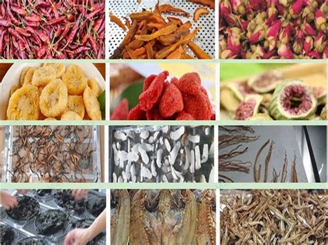 Drying Machine 的图像结果