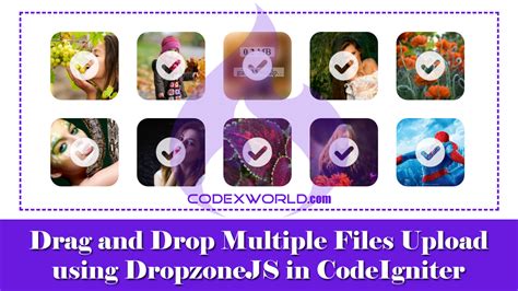 Image result for Upload Image in Database in CodeIgniter