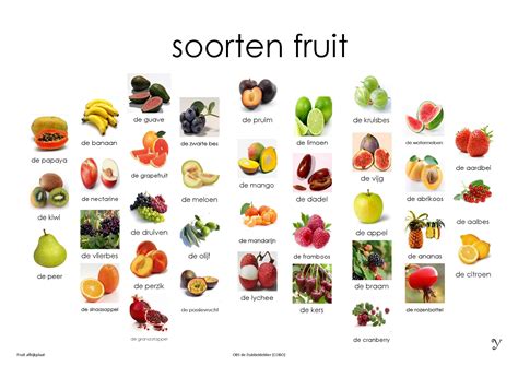 Mini Loco Fruit, afkijkplaat | Eten en drinken, Voeding, Eten