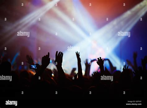 Concert Fans 的图像结果