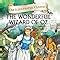 Buy The Wonderful Wizard of Oz : Illustrated abridged Classics (Om ...