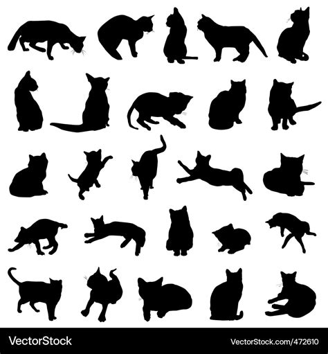 Cat Vector 的图像结果