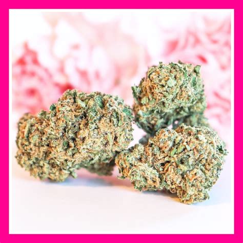 Plane Janes Dispensary | Gallery