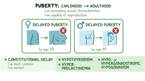 Video: Approach to delayed puberty: Clinical sciences