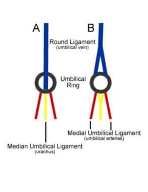 Image result for Video Script Visual Example