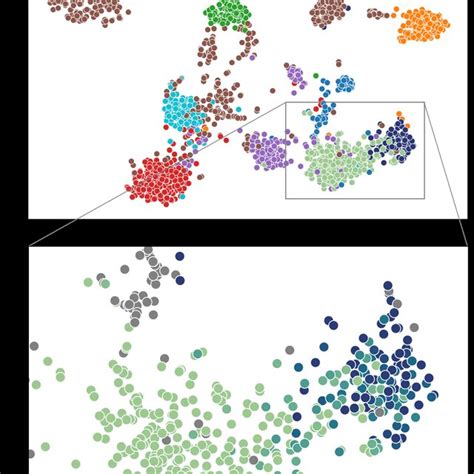 Image result for Dataset Example