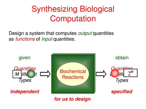 Biochemical Example 的图像结果