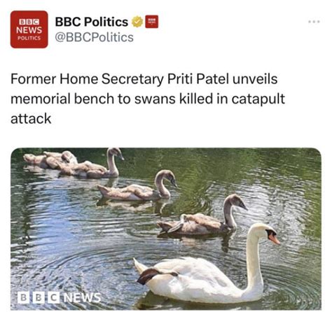 Top Stories Today Funny 的图像结果