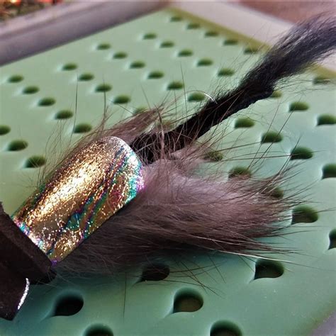 Image result for Master Splinter Fly