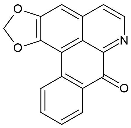 Liriodenine and Its Probable Role as an Osmolyte during Water Stress in ...