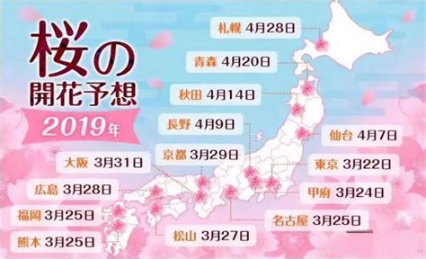 日本樱花几月开 2022日本樱花开放时间及赏樱地点介绍_旅泊网
