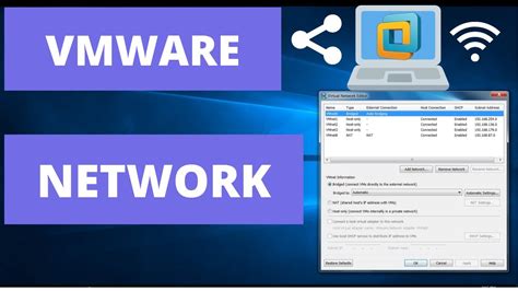 VMware Network Connection Types 的图像结果