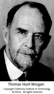 Thomas Hunt Morgan :: DNA from the Beginning