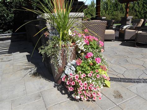 Landscape Design 的图像结果