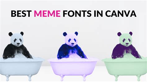 Best Meme Fonts in Canva - Blogging Guide