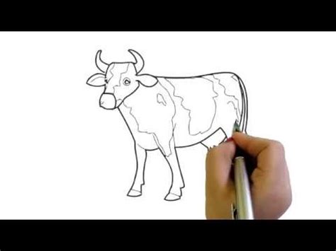 Cow Drawing Tutorial 的图像结果
