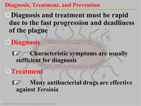 Salmonella shigella & yersinia dr.ihsan alsaimary | PPTX