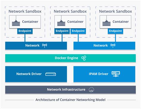 Image result for Container Networking